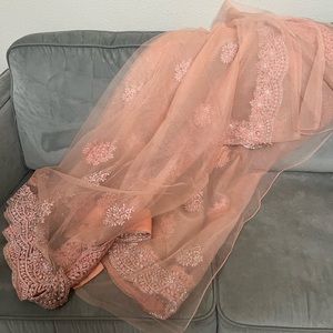 Peach transparent saree with glitters on the bottom and the pallu